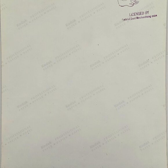 Grateful Dead Licensed Photo Print By Rob Cohn Bassist Phil Lesh Glossy Kodak Pa - Picture 4 of 12